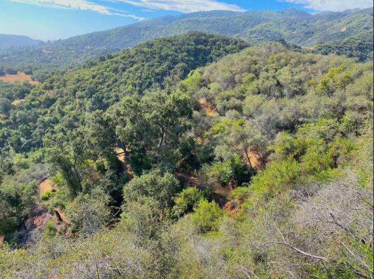 Japanese Tea House With Private Mountain Trails And Creek Topanga Park